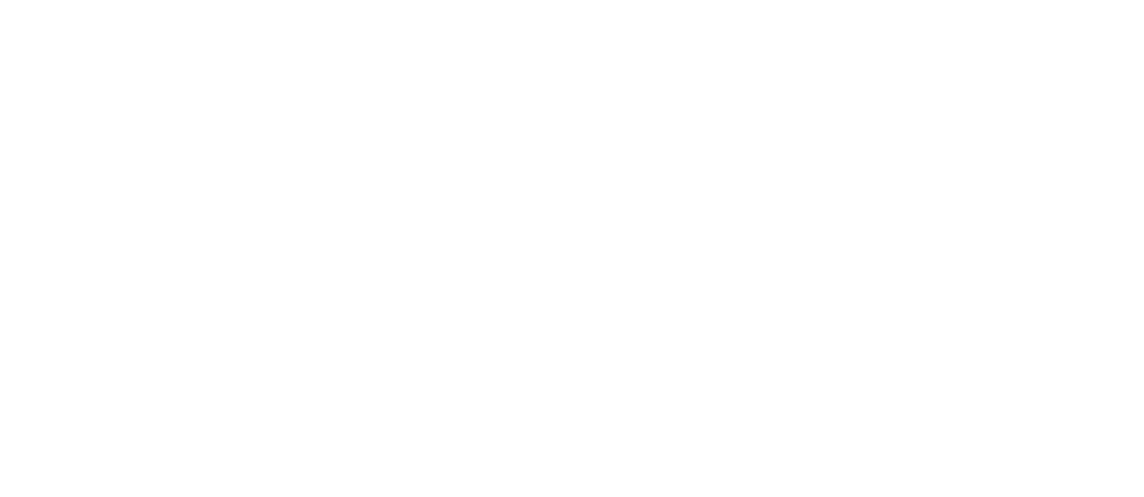 Chowgule Lagvane ship raipre Pvt Ltd